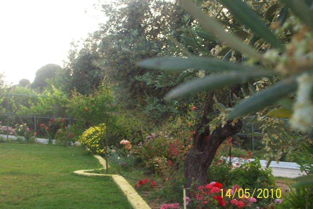 Yalis Studios Achladies  Dış mekan fotoğraf